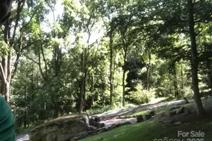 446 Windridge Dr, Sugar Grove, NC 28679 - Photo 37