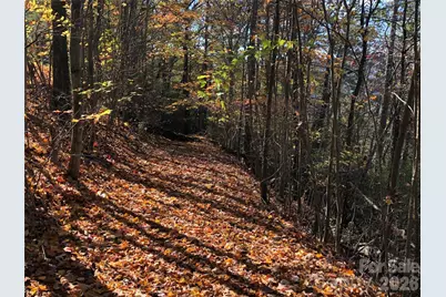 Tbd Buck Mountain Road #96, Purlear, NC 28665 - Photo 11