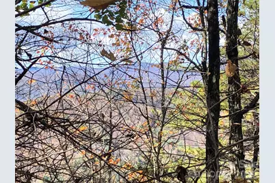 Tbd Buck Mountain Road #96, Purlear, NC 28665 - Photo 13