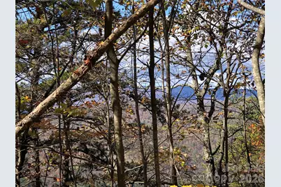 Tbd Buck Mountain Road #96, Purlear, NC 28665 - Photo 15