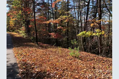 Tbd Buck Mountain Road #96, Purlear, NC 28665 - Photo 9
