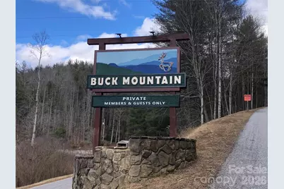 Tbd Buck Mountain Road #96, Purlear, NC 28665 - Photo 3