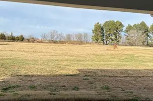 1030 Gardenia Dr, Mount Ulla, NC 28125 - Photo 17