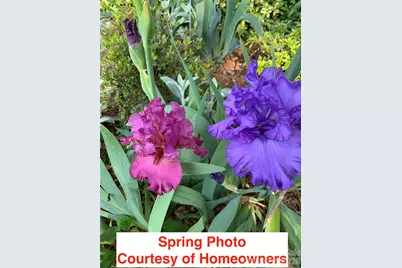 2539 Botanical Court NW, Concord, NC 28027 - Photo 33