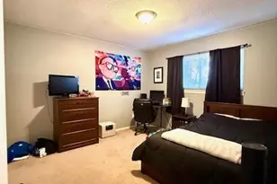 2133 Manawa Ln, Fort Mill, SC 29708 - Photo 19