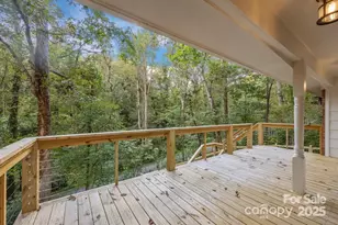 7 Angus Ln, Asheville, NC 28805 - Photo 19