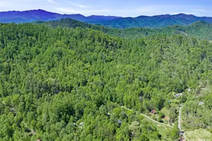 615 Fred Sparks Rd, Bakersville, NC 28705 - Photo 15