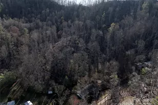 615 Fred Sparks Rd, Bakersville, NC 28705 - Photo 3