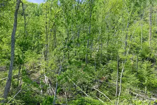 615 Fred Sparks Rd, Bakersville, NC 28705 - Photo 13