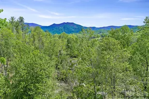 615 Fred Sparks Rd, Bakersville, NC 28705 - Photo 11