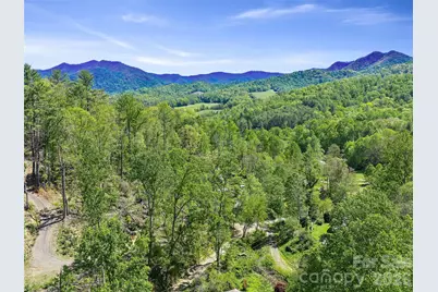 615 Fred Sparks Road, Bakersville, NC 28705 - Photo 3