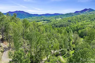 615 Fred Sparks Rd, Bakersville, NC 28705 - Photo 3
