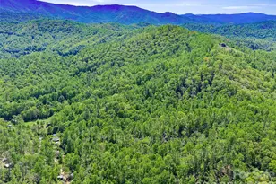 615 Fred Sparks Rd, Bakersville, NC 28705 - Photo 7