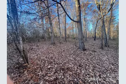 000000 Pinnacle Church Road, Nebo, NC 28761 - Photo 5