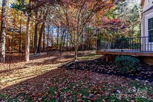 11025 Jordan Rae Ln, Charlotte, NC 28277 - Photo 29