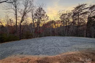 864 Matho Trce, Lake Lure, NC 28746 - Photo 43