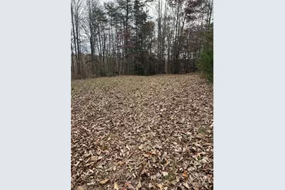 1405 Brannock Smith Drive, Hickory, NC 28602 - Photo 3