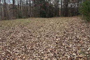 1405 Brannock Smith Dr, Hickory, NC 28602 - Photo 3