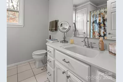 33 Ivy Cove Road, Fairview, NC 28730 - Photo 25