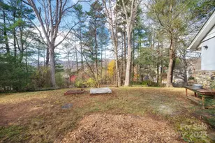 49 Pinedale Rd, Asheville, NC 28805 - Photo 3