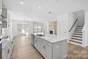 1011 WT Ferguson Dr, Indian Trail, NC 28104 - Photo 11