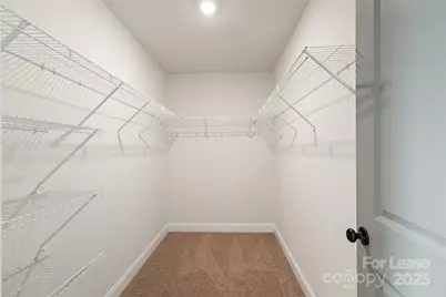 920 Blu Central Road, Charlotte, NC 28134 - Photo 17