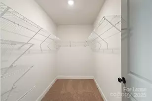 920 Blu Central Rd, Charlotte, NC 28134 - Photo 17