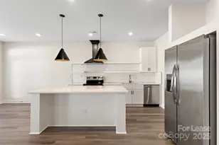 920 Blu Central Rd, Charlotte, NC 28134 - Photo 9