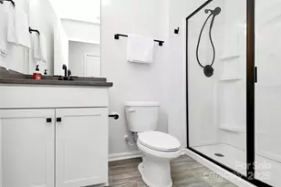 163 Hanks Bluff Dr, Mooresville, NC 28117 - Photo 29