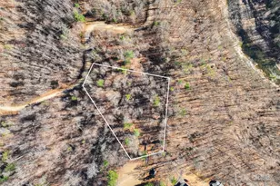 00000 High Peak Ridge, Green Mountain, NC 28740 - Photo 17