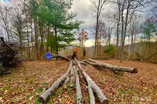 00000 High Peak Ridge, Green Mountain, NC 28740 - Photo 9