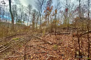 00000 High Peak Ridge, Green Mountain, NC 28740 - Photo 11