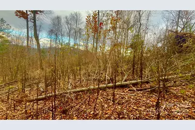00000 High Peak Ridge #10, Green Mountain, NC 28740 - Photo 13