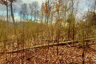 00000 High Peak Ridge, Green Mountain, NC 28740 - Photo 13