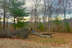 00000 High Peak Ridge, Green Mountain, NC 28740 - Photo 5