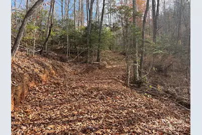 00 Barkers Creek Road, Whittier, NC 28789 - Photo 21