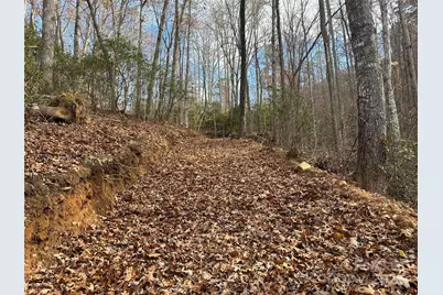 00 Barkers Creek Road, Whittier, NC 28789 - Photo 19