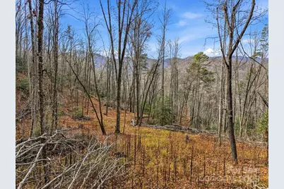 00 Barkers Creek Road, Whittier, NC 28789 - Photo 11