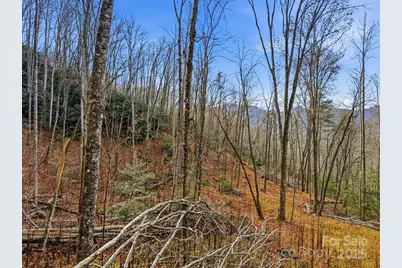 00 Barkers Creek Road, Whittier, NC 28789 - Photo 13