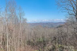 1350 Davis Mountain Rd, Hendersonville, NC 28739 - Photo 41