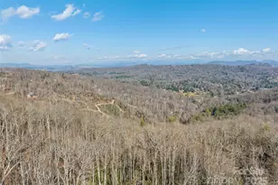 1350 Davis Mountain Rd, Hendersonville, NC 28739 - Photo 3