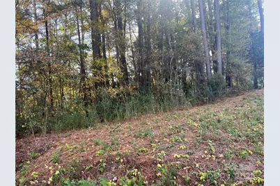 0 Alexander Street, Dallas, NC 28034 - Photo 3