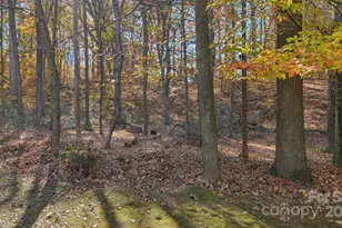 112 Sugar Thyme Ln, Mooresville, NC 28115 - Photo 39