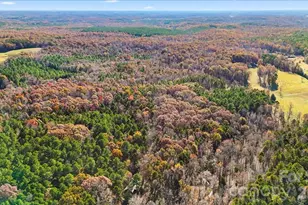 4875 Yellow Poplar Ln, Concord, NC 28025 - Photo 9