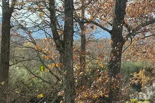 114 Broadway Ave, Tryon, NC 28782 - Photo 13