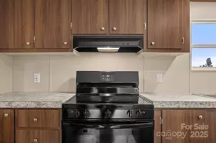 135 Rock Olive Dr, Rockwell, NC 28138 - Photo 9