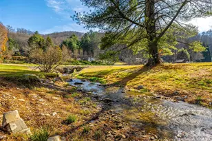 422 Battle Creek Rd, Horse Shoe, NC 28742 - Photo 9