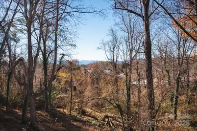 38 Wildwood Avenue, Asheville, NC 28804 - Photo 21