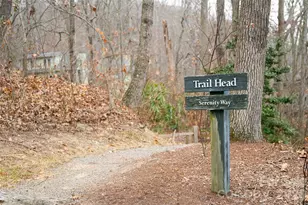 2 Cherokee Orchard Ct, Fairview, NC 28730 - Photo 45