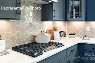 3044 Canvasback Wy, Indian Trail, NC 28079 - Photo 7